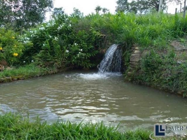 Sítio e chácara venda em Região Geográfica Imediata de Piumhi, São Roque de Minas