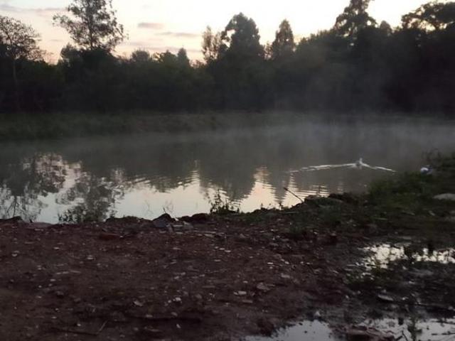 Sítio e chácara venda em Região Geográfica Imediata de Porto Alegre, Região Metropolitana de Porto Alegre