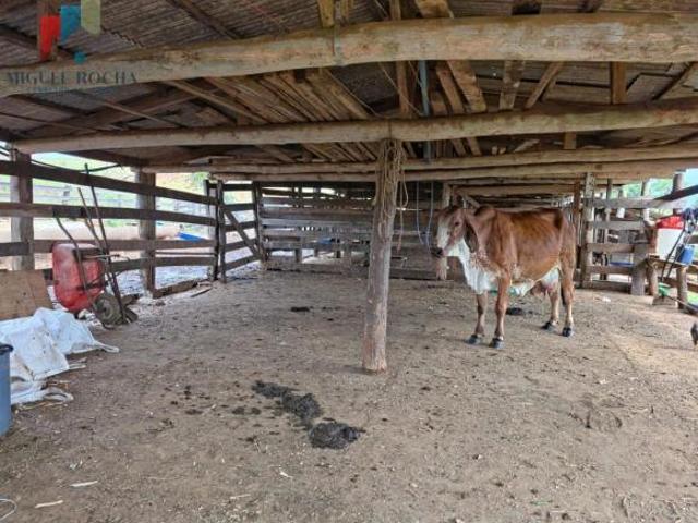 Sítio e chácara venda em Região Imediata de Botucatu, Pardinho