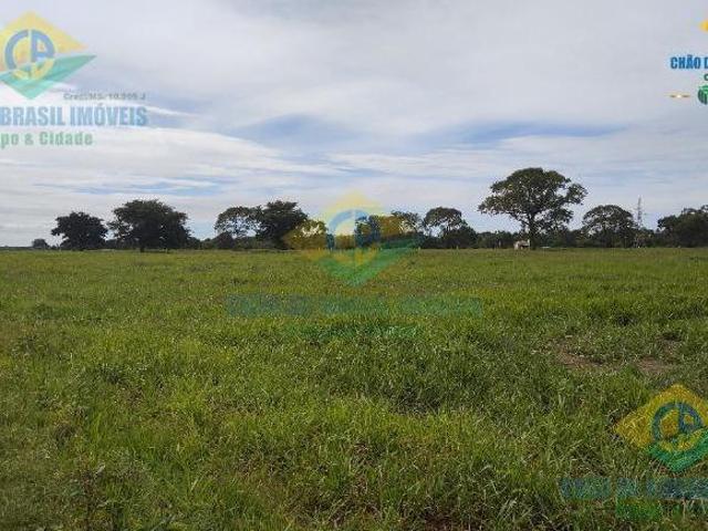 Sítio e chácara venda em Região Geográfica Imediata de Campo Grande, Campo Grande