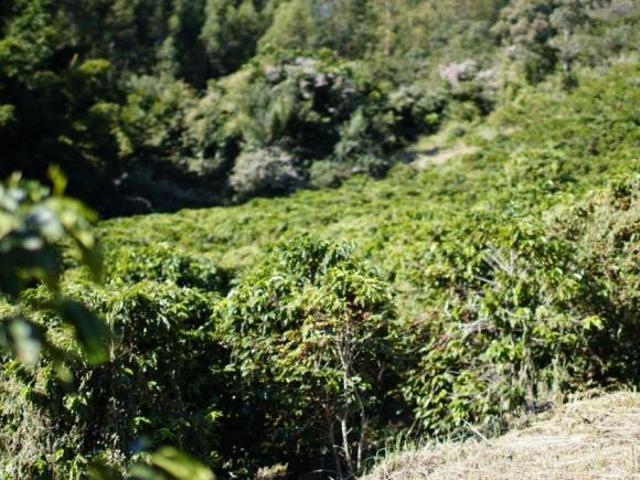 Sítio e chácara venda em Região Imediata de Amparo, Serra Negra