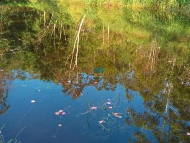 Sítio e chácara venda em Região Imediata de Caraguatatuba-Ubatuba-São Sebastião, Região Metropolitana do Vale do Paraíba e Litoral Norte