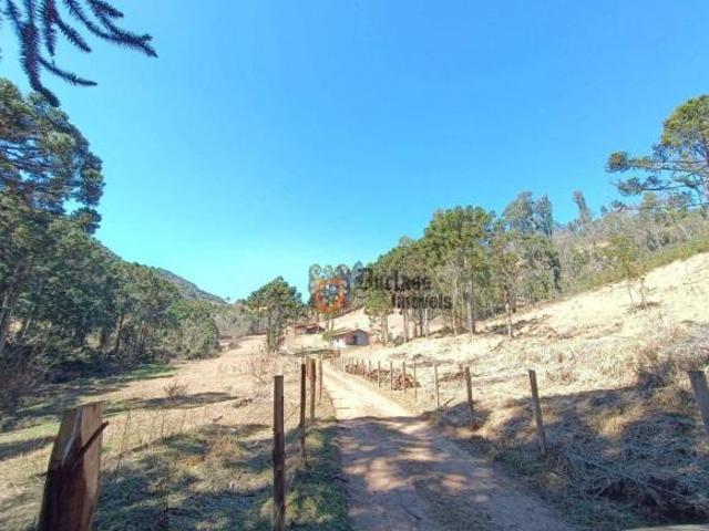 Sítio e chácara venda em Região Geográfica Imediata de Pouso Alegre, Camanducaia