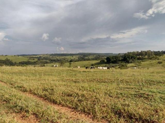 Sítio e chácara venda em Região Imediata de Bauru, Avaí