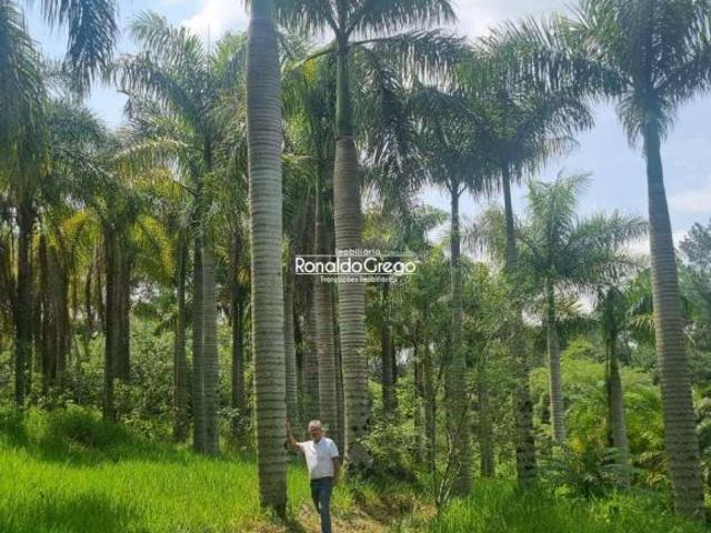 Sítio e chácara venda em Região Imediata de Sorocaba, Região Metropolitana de Sorocaba