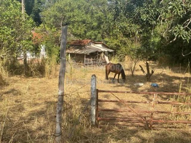 Sítio e chácara venda em Região Imediata de São José do Rio Preto, Região Metropolitana de São José do Rio Preto
