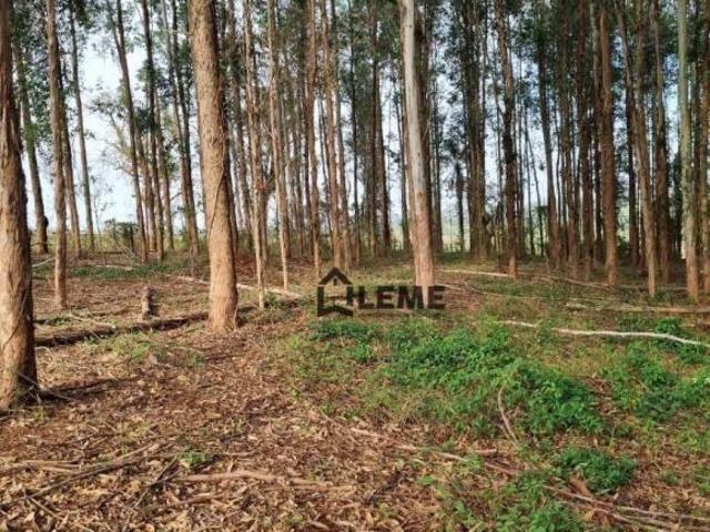 Sítio e chácara venda em Região Imediata de São José do Rio Pardo-Mococa, Região Metropolitana de Ribeirão Preto