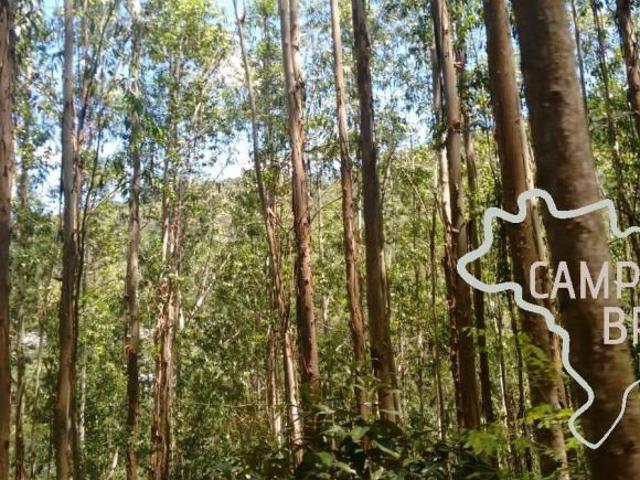 Sítio e chácara venda em Região Imediata de Taubaté-Pindamonhangaba, Região Metropolitana do Vale do Paraíba e Litoral Norte