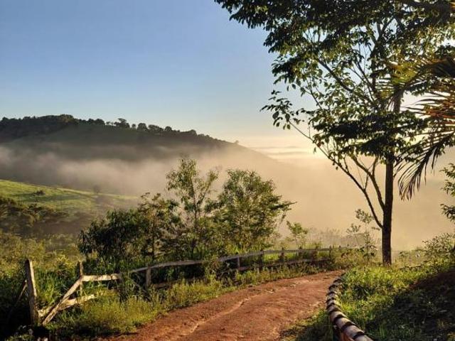 Sítio e chácara venda em Águas de Contendas, Conceição do Rio Verde