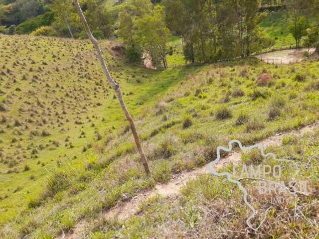 Sítio e chácara venda em Região Geográfica Imediata de São Lourenço, Virgínia