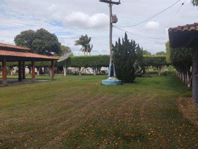 Sítio e chácara venda em Quadra