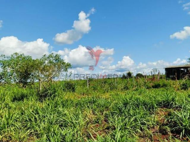 Sítio e chácara venda em Região Geográfica Imediata de Foz do Iguaçu, São Miguel do Iguaçu