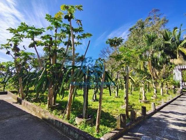 Sítio e chácara venda em Região Imediata de São Paulo, Região Metropolitana de São Paulo
