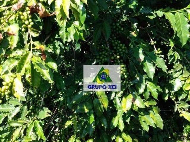 Sítio e chácara venda em Região Geográfica Imediata de Pouso Alegre, Ouro Fino