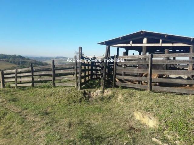 Sítio e chácara venda em Região Imediata de Sorocaba, Região Metropolitana de Sorocaba