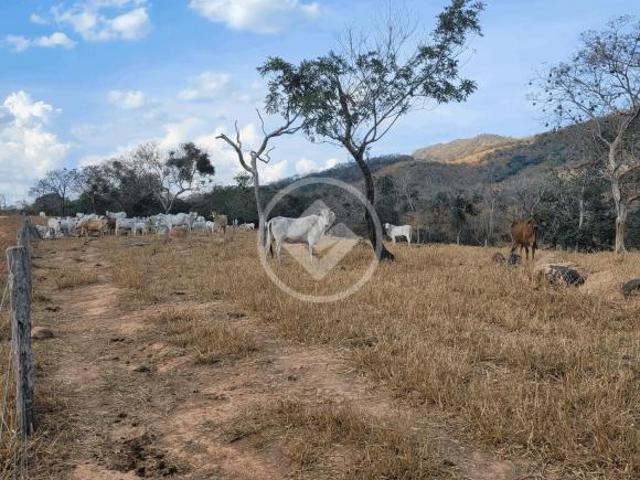 Sítio e chácara venda em Região Geográfica Imediata de Cáceres, Antônio João