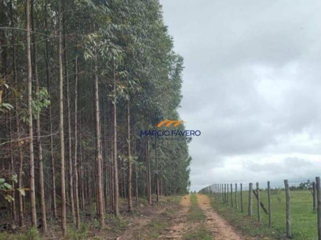 Sítio e chácara venda em Região Imediata de Botucatu, Anhembi