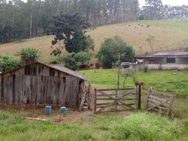 Sítio e chácara venda em Região Imediata de Itapeva, Guapiara