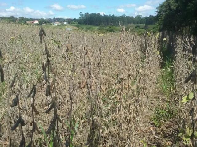 Fazenda venda em Região Imediata de Itapetininga, Região Metropolitana de Sorocaba
