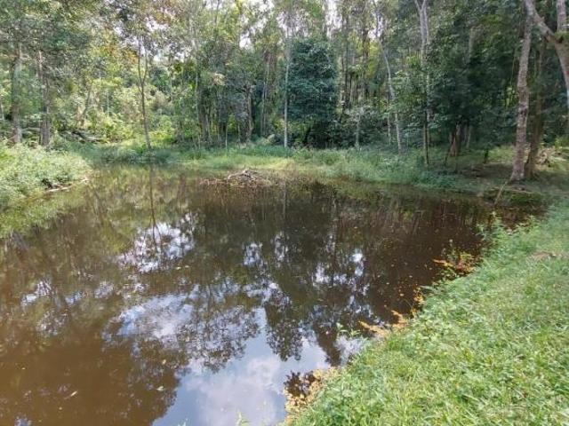 Sítio e chácara venda em Região Imediata de São Paulo, Região Metropolitana de São Paulo