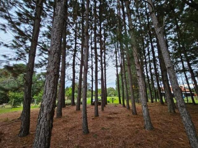 Sítio e chácara venda em Região Geográfica Imediata de Novo Hamburgo - São Leopoldo, Região Metropolitana de Porto Alegre