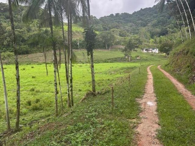 Sítio e chácara venda em Sete Barras