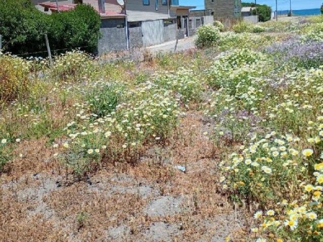 Terreno en venta en Licantén, Maule