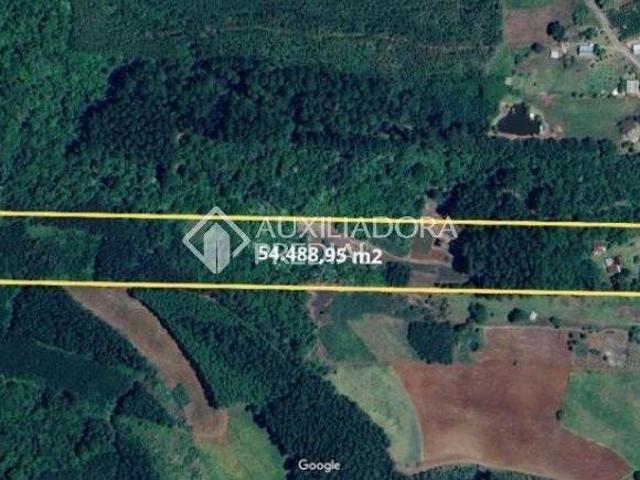 Sítio e chácara venda em Região Geográfica Imediata de Caxias do Sul, Nova Petrópolis
