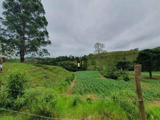 Sítio e chácara venda em Região Geográfica Imediata de Juiz de Fora, Juiz de Fora