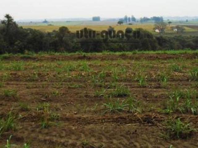 Sítio e chácara venda em Região Imediata de Sorocaba, Região Metropolitana de Sorocaba