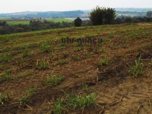 Sítio e chácara venda em Santo Augusto, Porto Feliz