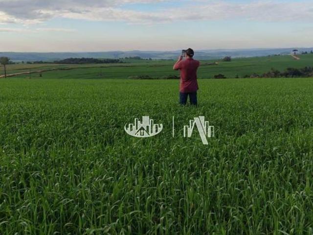 Sítio e chácara venda em Região Geográfica Imediata de Londrina, Tamarana