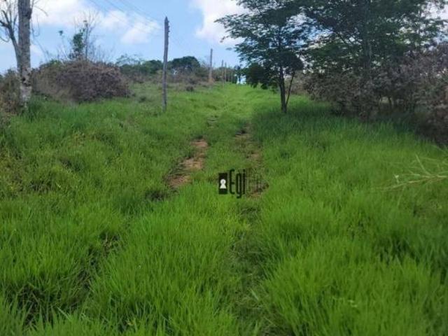 Sítio e chácara venda em Região Geográfica Imediata de Juiz de Fora, Piau