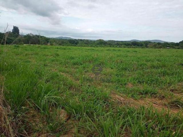 Sítio e chácara venda em Região Geográfica Imediata de Águas Lindas de Goiás, Região Integrada de Desenvolvimento do Distrito Federal e Entorno