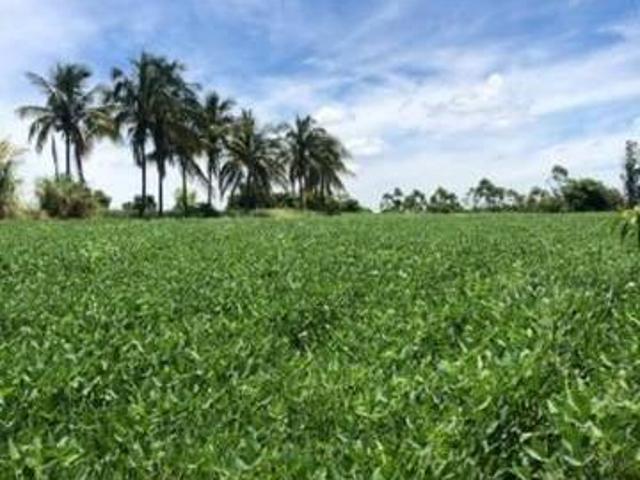 Sitio venda em Alvorada do Sul