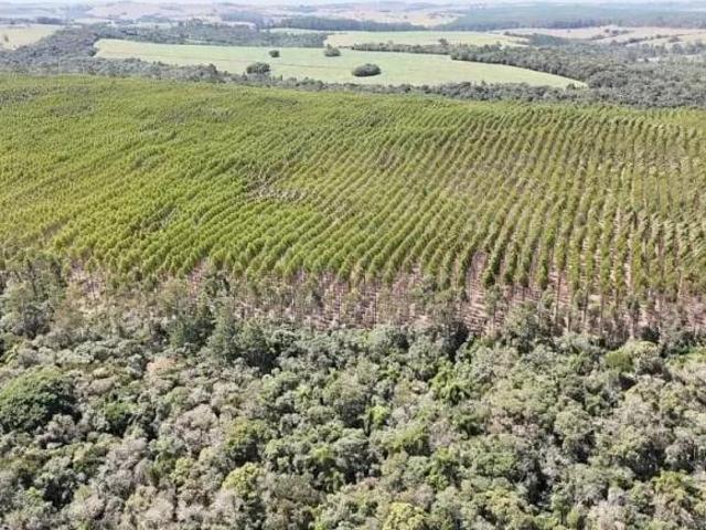 Sítio e chácara venda em Região Imediata de Itapetininga, Região Metropolitana de Sorocaba