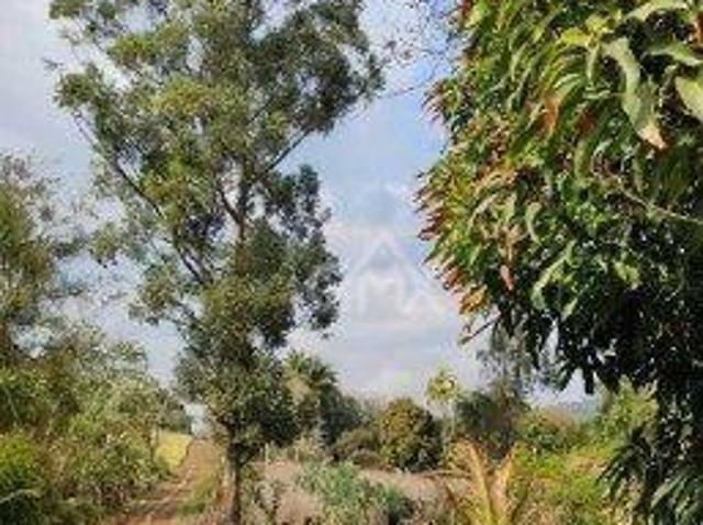 Sítio e chácara venda em Região Geográfica Imediata de Londrina, Londrina