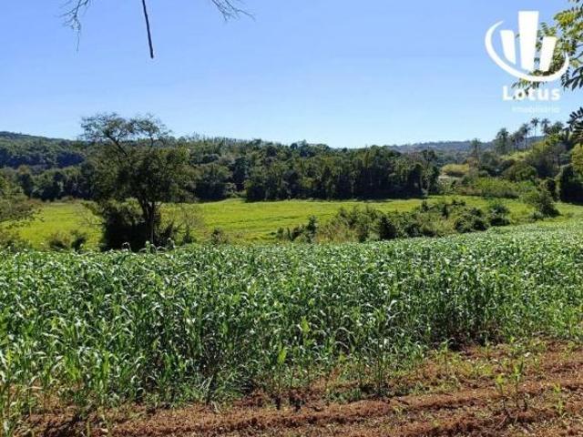 Sítio e chácara venda em Região Imediata de Campinas, Região Metropolitana de Campinas