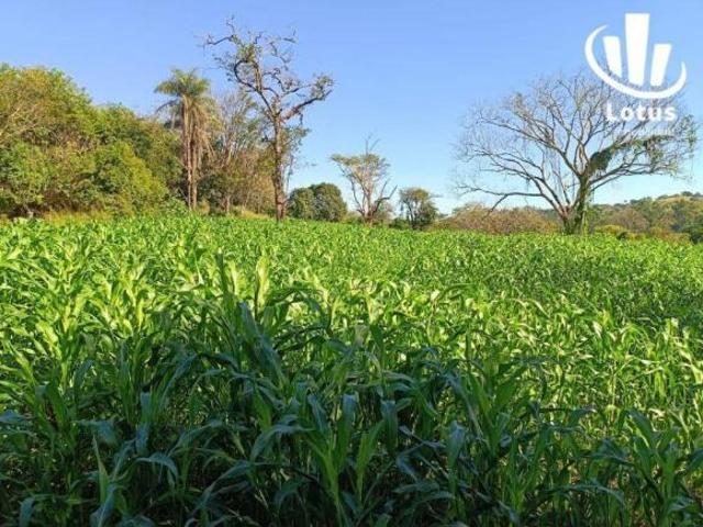 Sítio e chácara venda em Região Imediata de Campinas, Região Metropolitana de Campinas