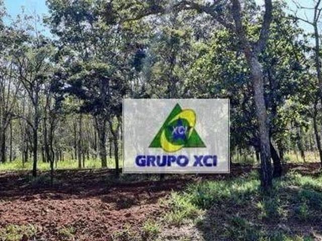 Sítio e chácara venda em Setor Sul, Uberlândia