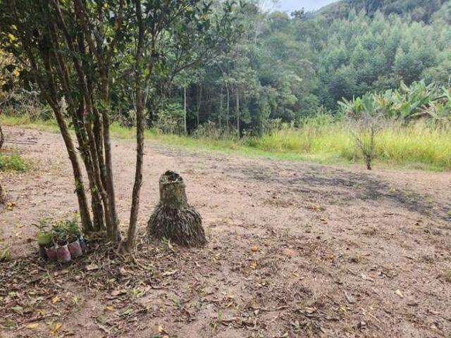Sítio e chácara venda em Região Imediata de Bragança Paulista, Nazaré Paulista
