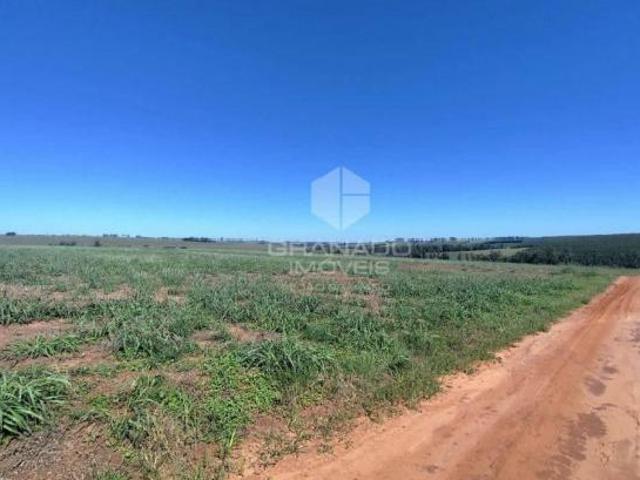 Sítio e chácara venda em Região Geográfica Imediata de Campo Mourão, Moreira Sales