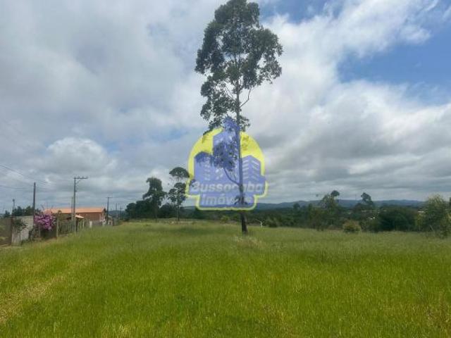 Sítio e chácara venda em Ibiúna, Ibiuna