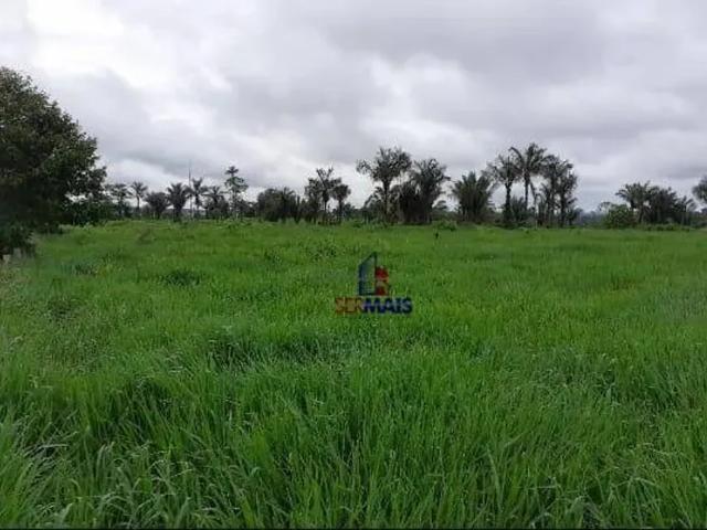 Fazenda venda em Machadinho d'Oeste, Região Norte
