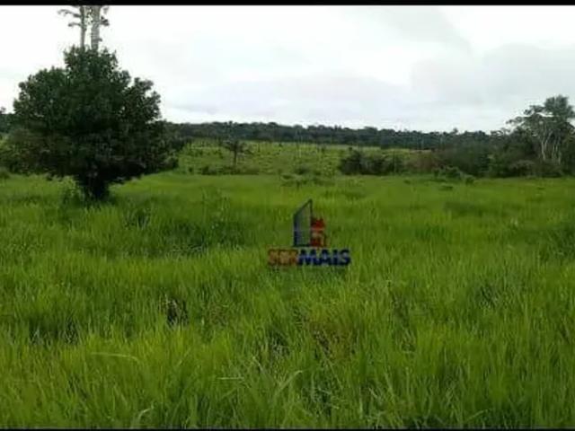 Fazenda venda em Machadinho d'Oeste, Região Norte