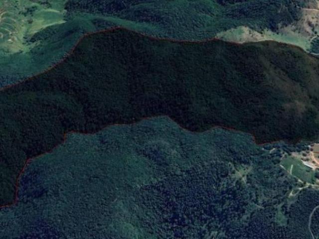 Sítio e chácara venda em Região Imediata de Amparo, Amparo