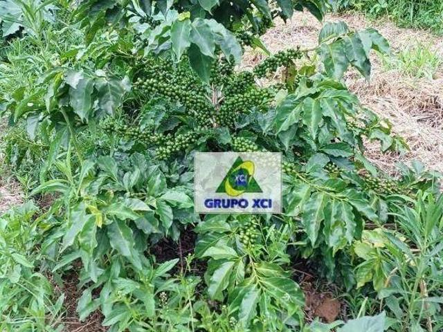 Sítio e chácara venda em Região Geográfica Imediata de Pouso Alegre, Ouro Fino