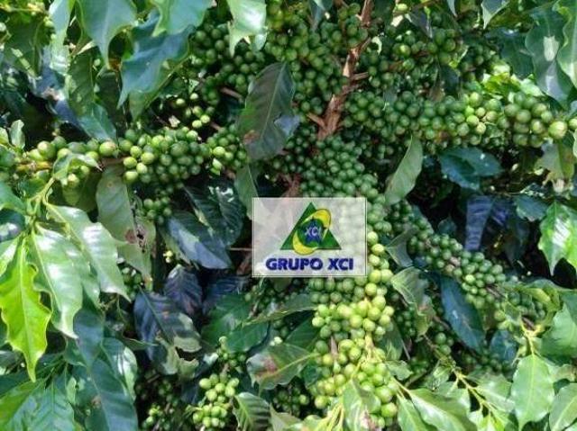 Sítio e chácara venda em Região Geográfica Imediata de Pouso Alegre, Ouro Fino