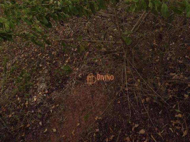 Sítio e chácara venda em Guareí, São Paulo