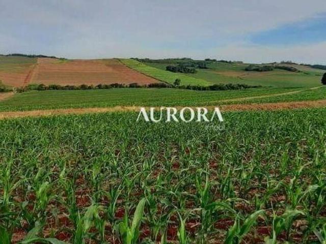 Sítio e chácara venda em Região Geográfica Imediata de Maringá, Itambé